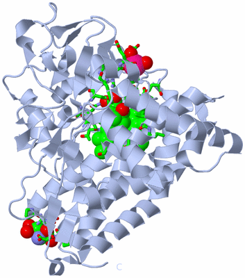 Image Biol. Unit 1 - sites