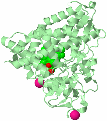 Image Biological Unit 2