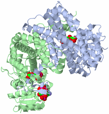 Image Asym./Biol. Unit