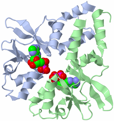 Image Asym./Biol. Unit