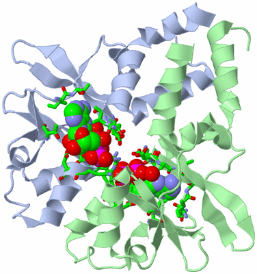 Image Asym./Biol. Unit - sites