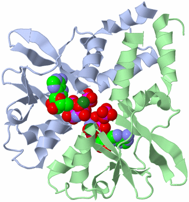 Image Asym./Biol. Unit