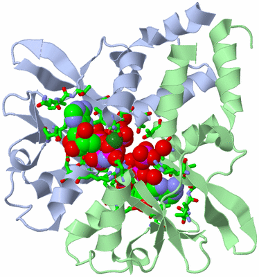 Image Asym./Biol. Unit - sites