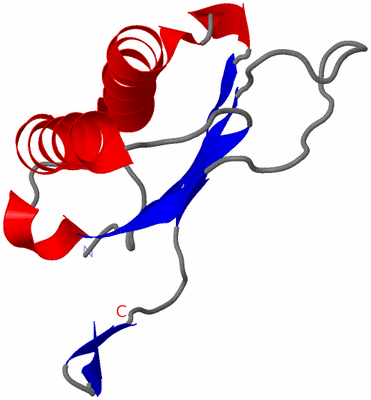 Image Asymmetric Unit