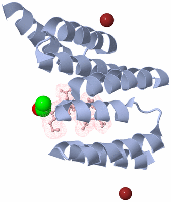 Image Biological Unit 1