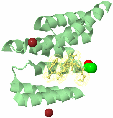 Image Biological Unit 2