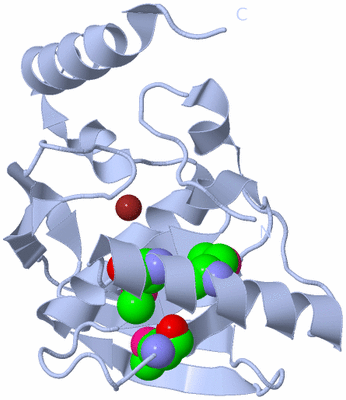 Image Biological Unit 1