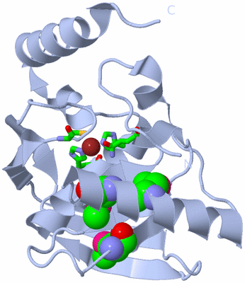 Image Biol. Unit 1 - sites