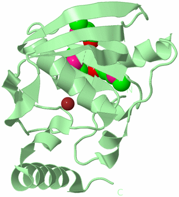 Image Biological Unit 2