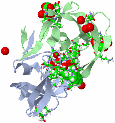 Image Asym./Biol. Unit - sites