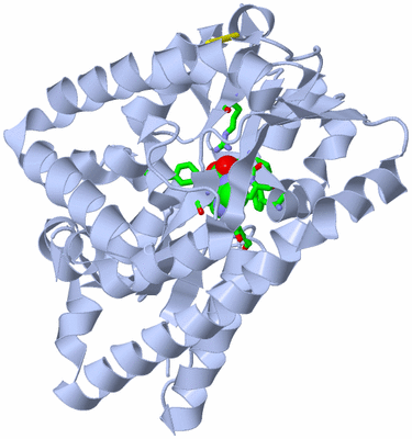 Image Biol. Unit 1 - sites