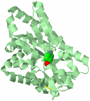 Image Biological Unit 2