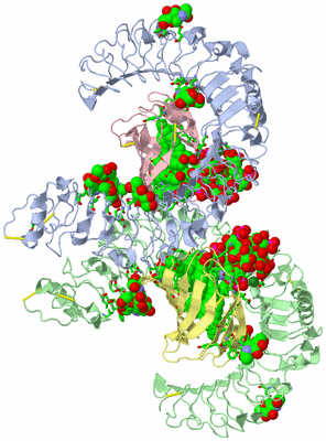 Image Asym./Biol. Unit - sites