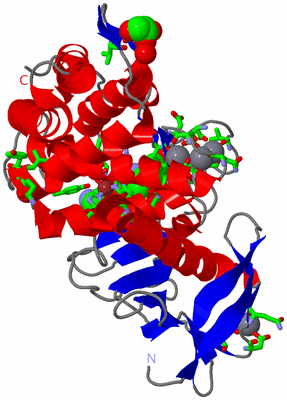 Image Asym./Biol. Unit - sites