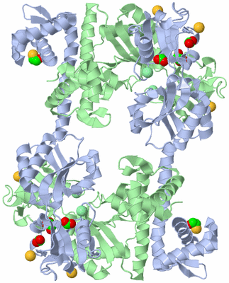 Image Biological Unit 1