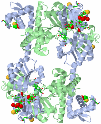 Image Biol. Unit 1 - sites