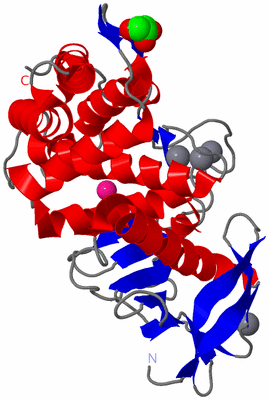 Image Asym./Biol. Unit