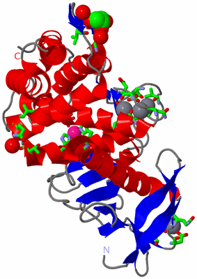 Image Asym./Biol. Unit - sites