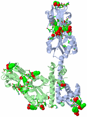 Image Asym. Unit - sites