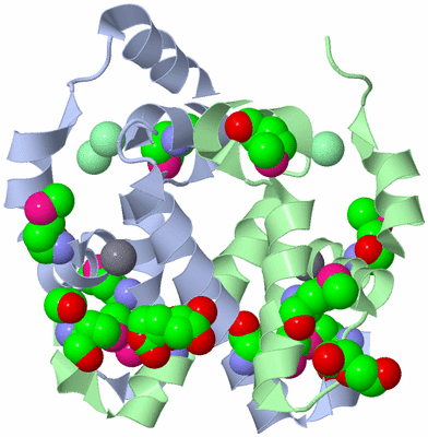 Image Asym./Biol. Unit