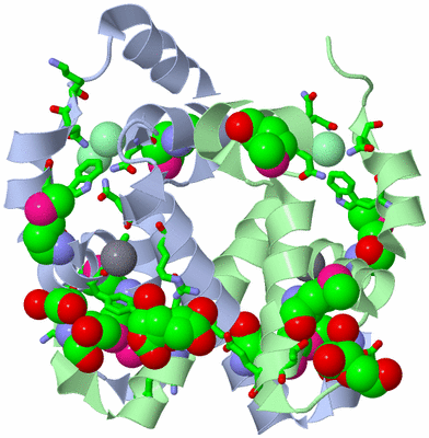 Image Asym./Biol. Unit - sites