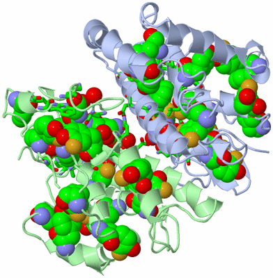 Image Asym./Biol. Unit - sites