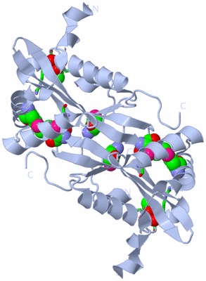 Image Biol. Unit 1 - sites