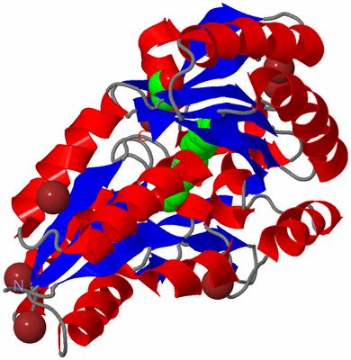 Image Asym./Biol. Unit