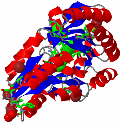 Image Asym./Biol. Unit - sites