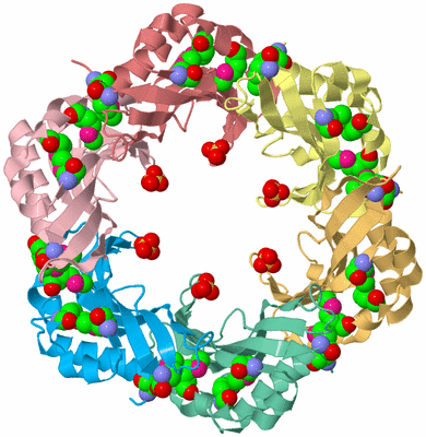 Image Biological Unit 2