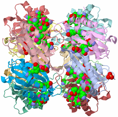 Image Biological Unit 3