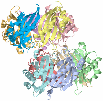 Image Biological Unit 3