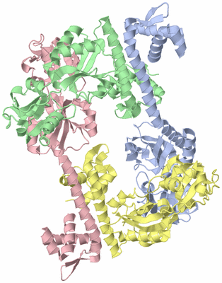 Image Biological Unit 1