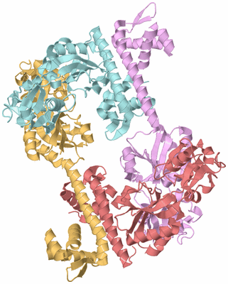 Image Biological Unit 2