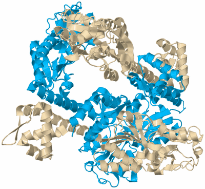 Image Biological Unit 3