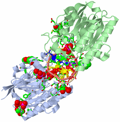 Image Asym./Biol. Unit - sites