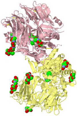 Image Biological Unit 2