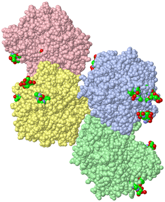 Image Asym. Unit - sites