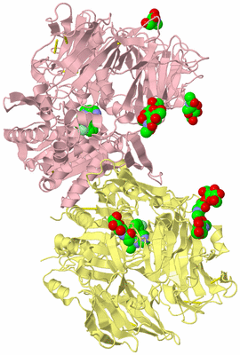 Image Biological Unit 2