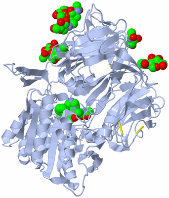 Image Biological Unit 3