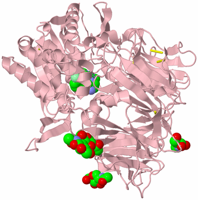 Image Biological Unit 5