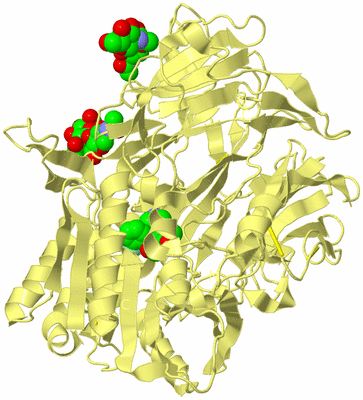 Image Biological Unit 6