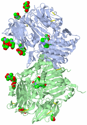 Image Biological Unit 1