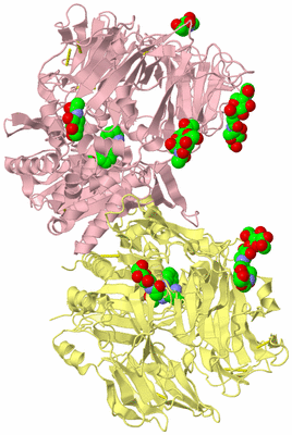 Image Biological Unit 2