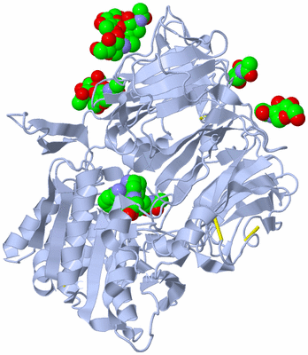 Image Biological Unit 3