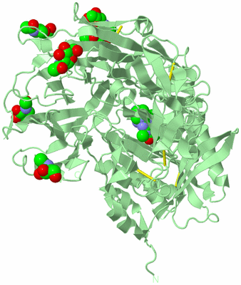 Image Biological Unit 4