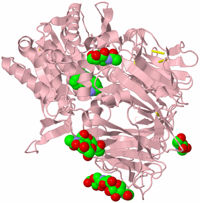 Image Biological Unit 5