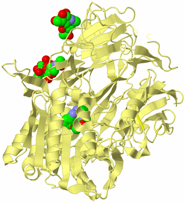 Image Biological Unit 6