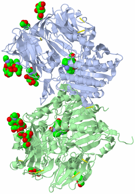 Image Biological Unit 1