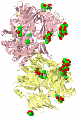 Image Biological Unit 2